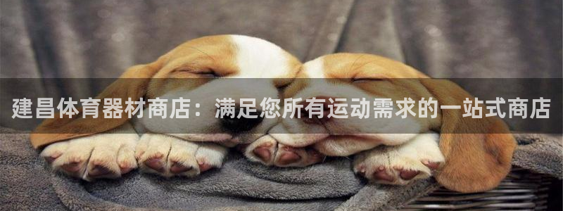尊龙得过奥斯卡吗