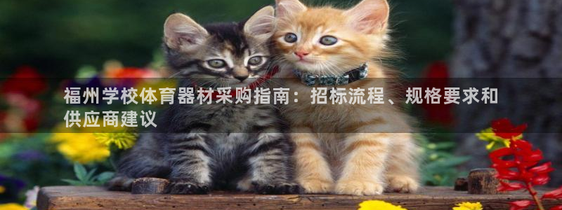 凯时国际app登录