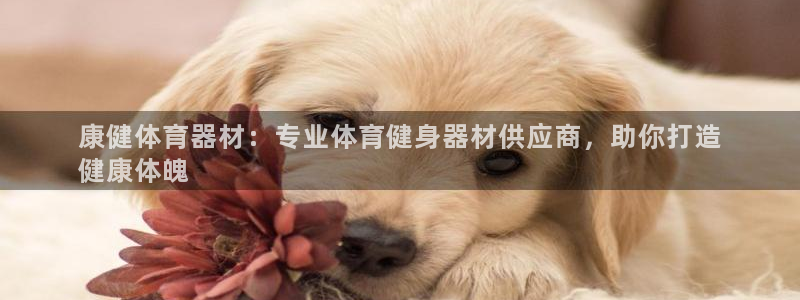 凯时最新官方APP下载
