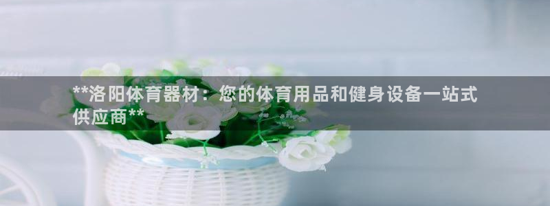 尊龙 6