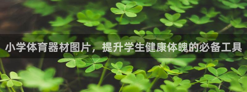 尊龙人生就是一博!