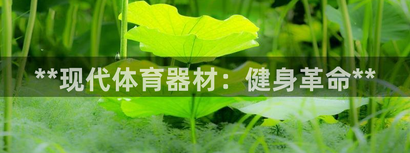 尊龙网站手机下载