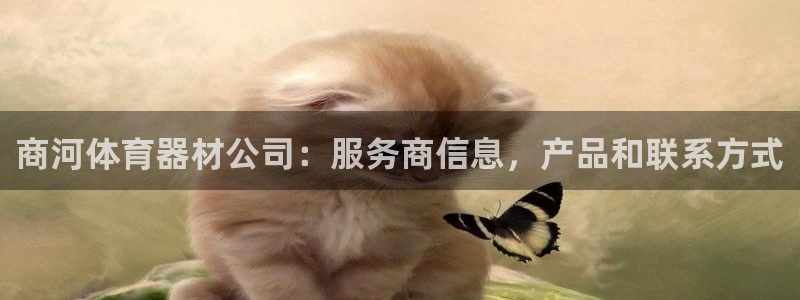 尊龙app官网登录