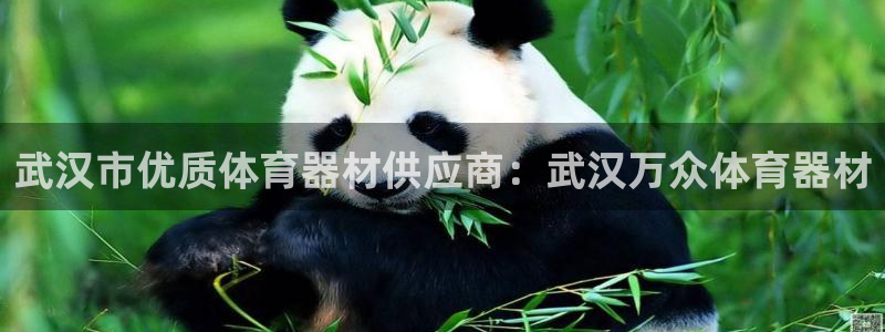 尊龙凯时代理能提出来不