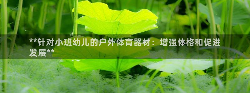 凯时k66官方发布