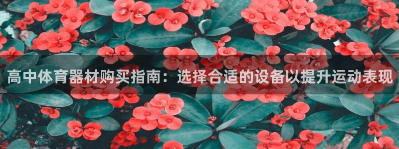 尊龙电子