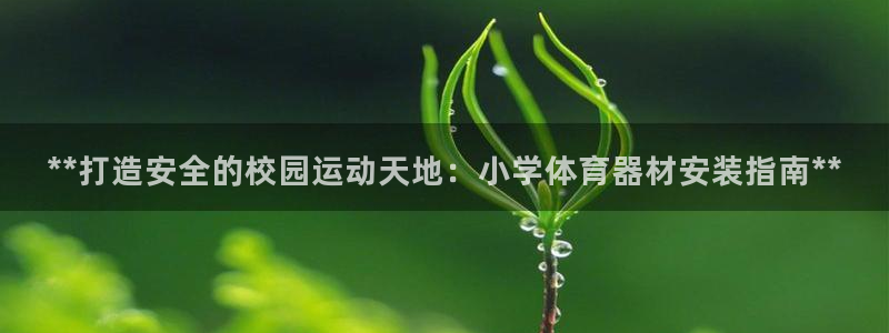 尊龙凯时网