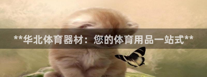 尊龙,人生就是博!登录国际