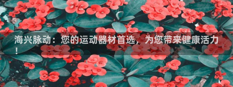 尊龙现在
