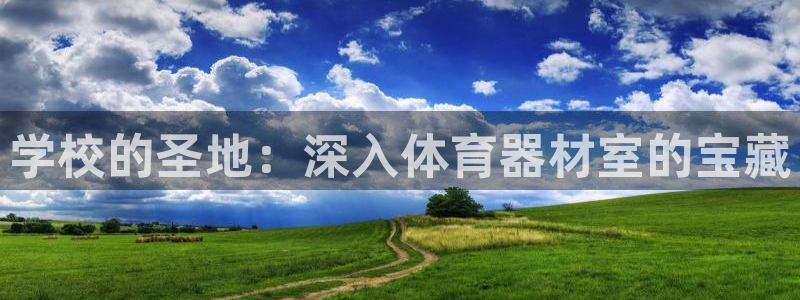 尊龙500价格
