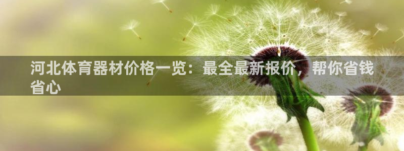 凯时网上官方网站