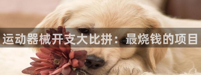 尊龙AG旗舰厅官网