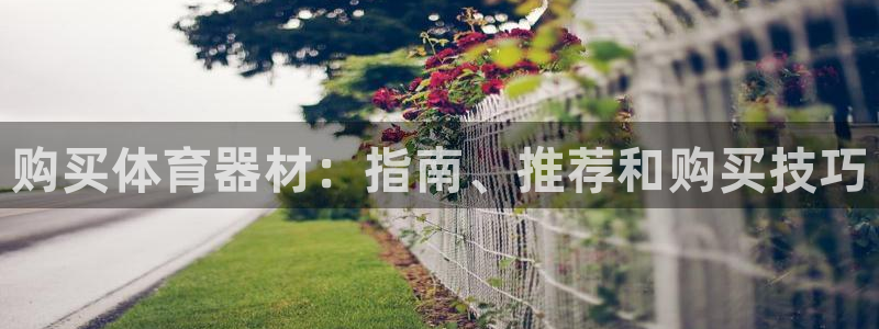 尊龙内地