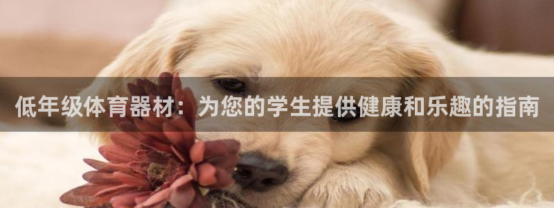 尊龙z6网址