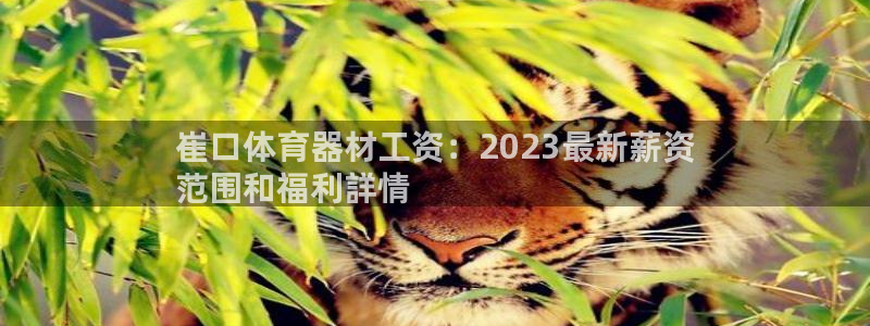 ag尊龙怎么样
