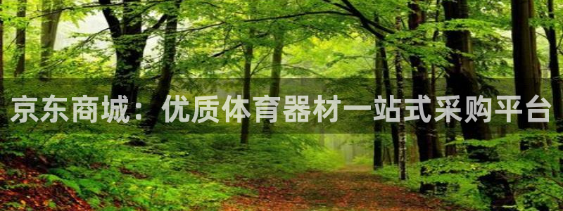 尊龙凯时vip