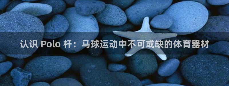 尊龙凯时人生就是搏官