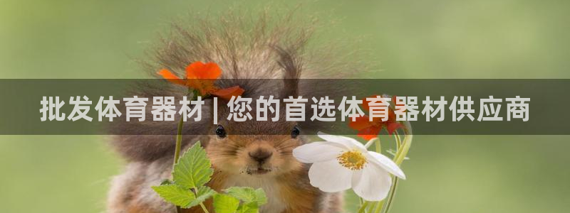 国际凯时ag优质运营商