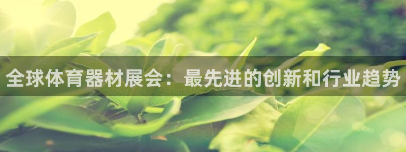 尊龙凯时处理未到账