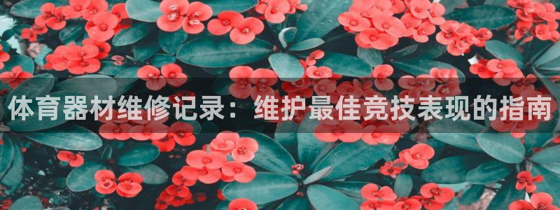 尊龙集团官网