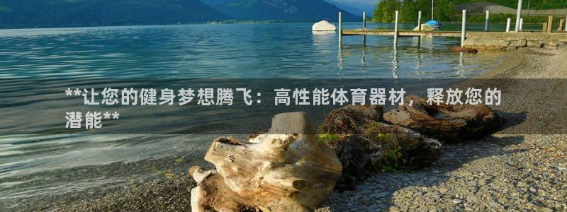 尊龙人生就是博旧版现