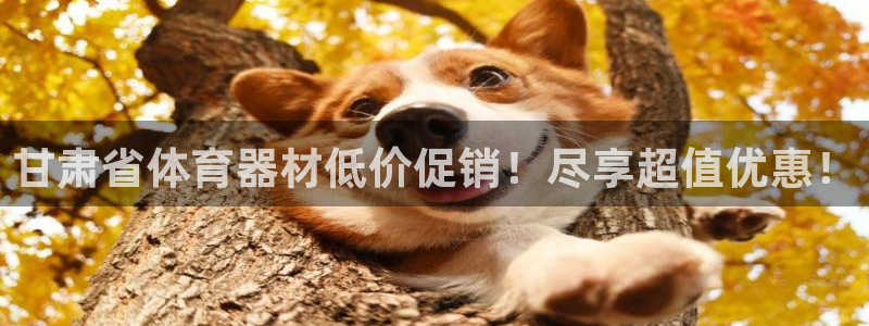 尊龙体育正规么