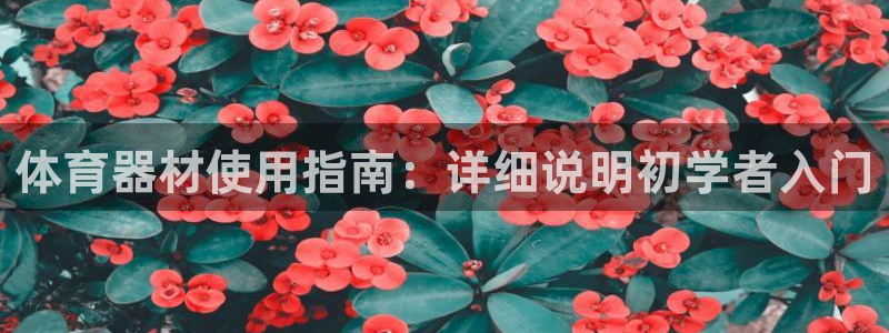 凯时平台怎么样