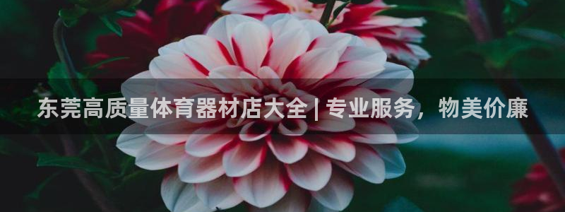 尊龙物流怎么样