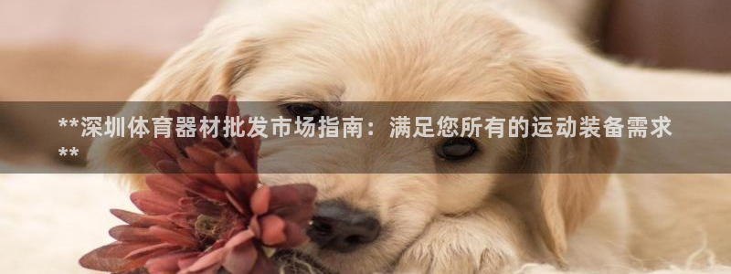尊龙ag旗舰厅官网官方入口
