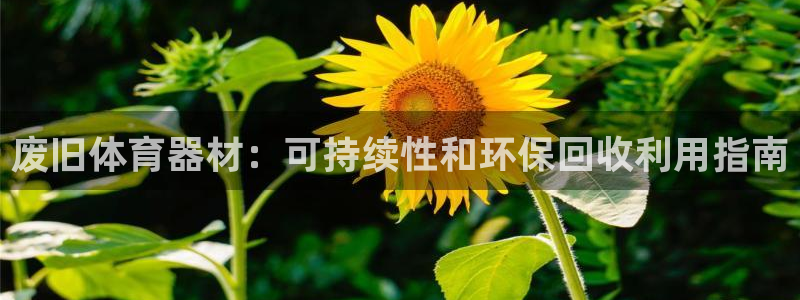 尊龙凯时登入首页