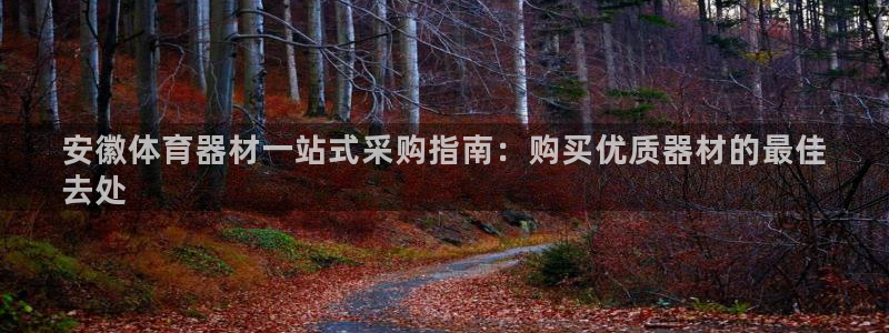 尊龙凯时代理