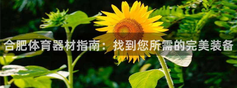 尊龙凯时正规吗