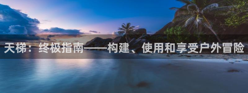 尊龙t400和尊龙t300区别