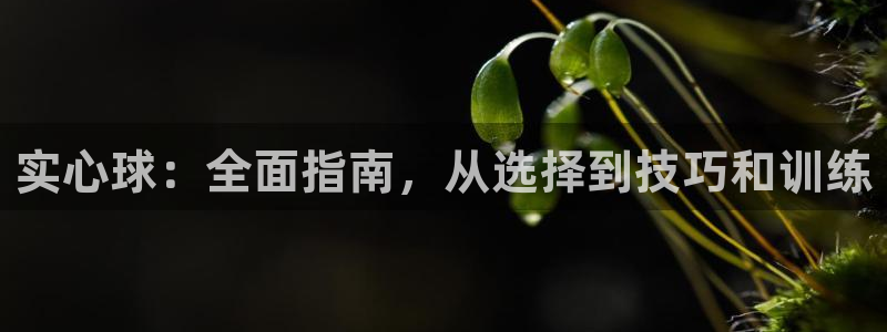 尊龙凯时几百万怎么下款