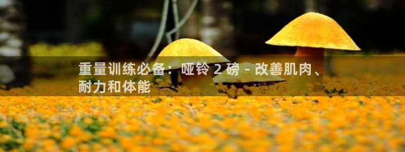 尊龙凯时取款24小时不到账