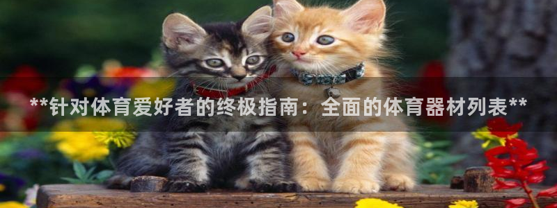尊龙凯时的企业文化