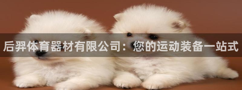 凯时平台app