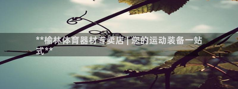 z6尊龙凯时ag旗舰厅