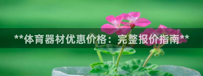 尊龙手机端下载