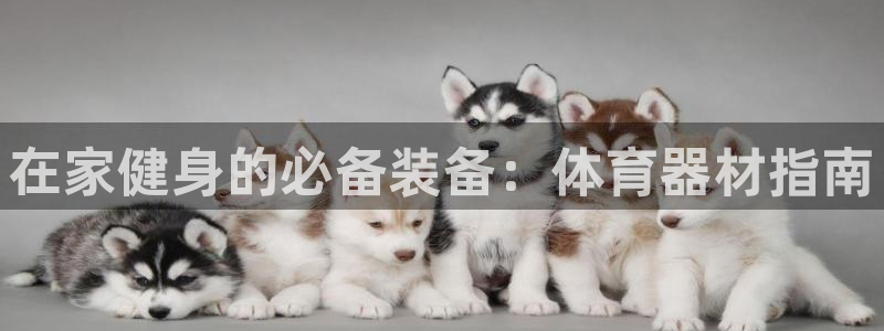 新版尊龙99