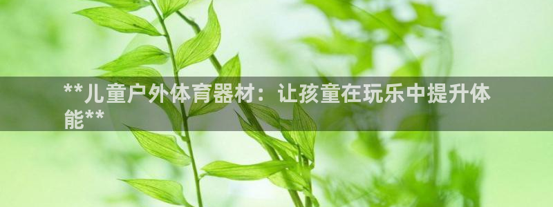 凯时国际最新