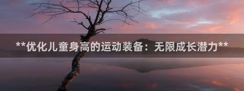 旧版尊龙人生就是博下载
