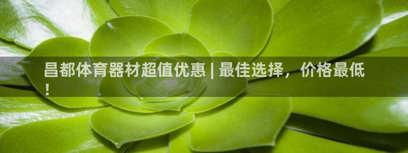 尊龙z6官网