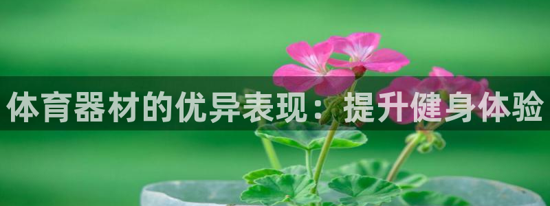 尊龙凯时登陆