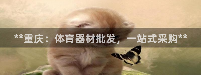 下载尊龙app