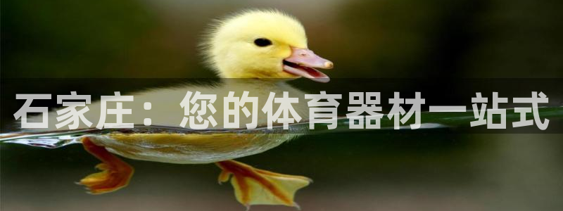 尊龙凯时输了100万