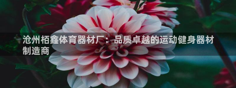 尊龙凯时开发