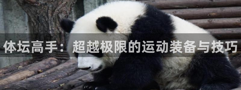 尊龙d88皆选ag发财网
