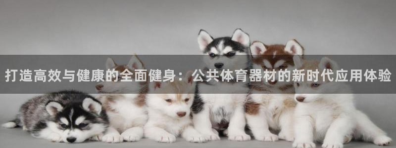 尊龙人生就是博现金