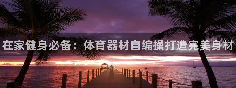 尊龙凯时能提现吗：在家健身必备：体育器材自编操打造完美身材